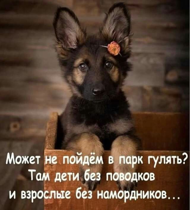 Я боюсь детей!